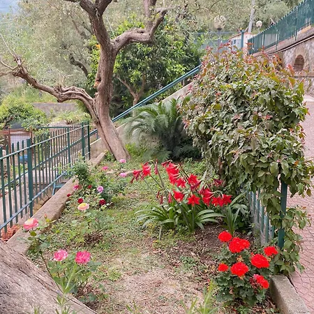 Casa de Férias Casa Honey