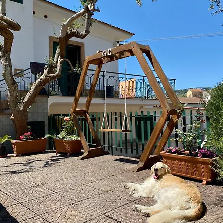 Casa Honey Torca